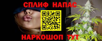 сатива Кинель