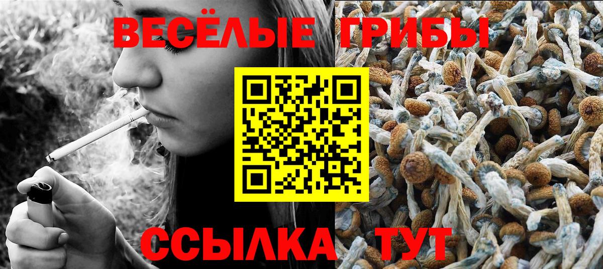 Псилоцибиновые грибы GOLDEN TEACHER Ефремов
